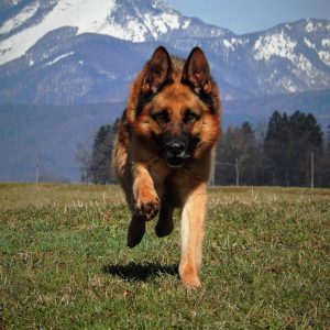 100-odpoklic-od-a-do-z-4